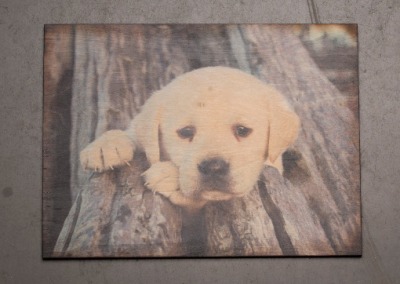 Puppy Wood Print