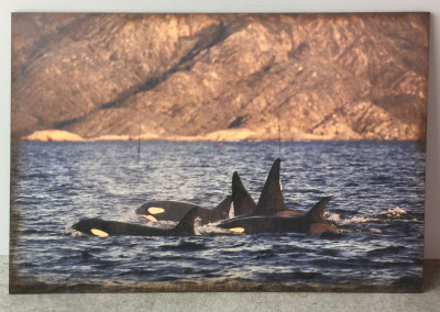 Orcas Custom Wood Print